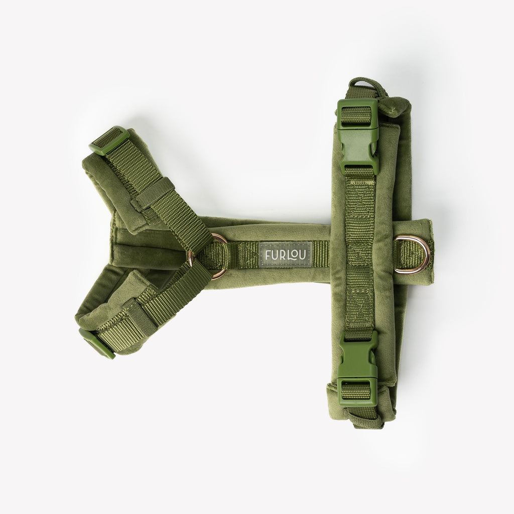 Green - Velvet Dog Harness