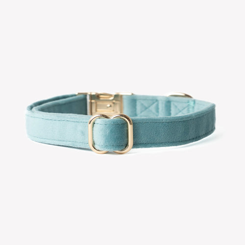 'Blue' - Velvet Dog Collar