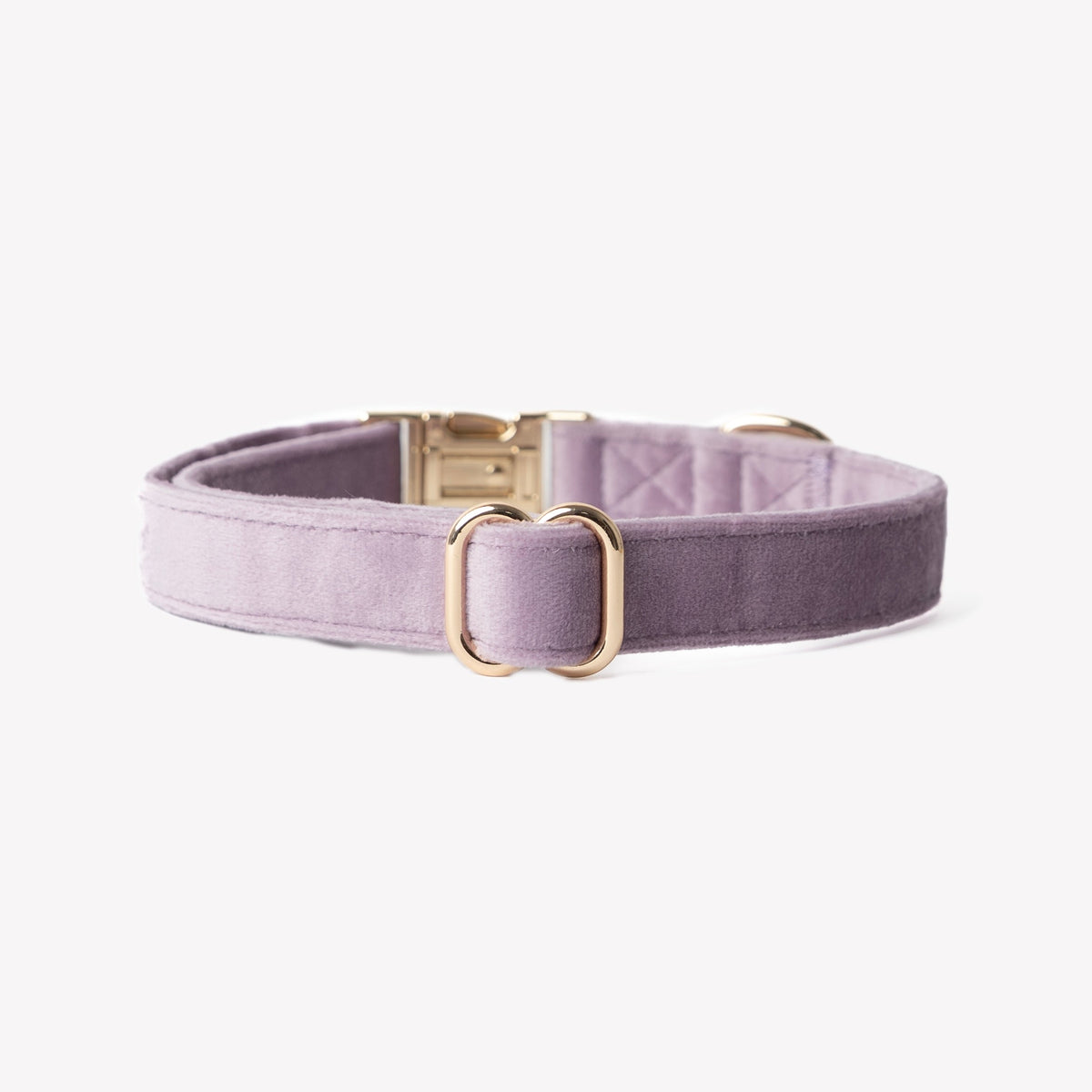 'Lilac' - Velvet Dog Collar
